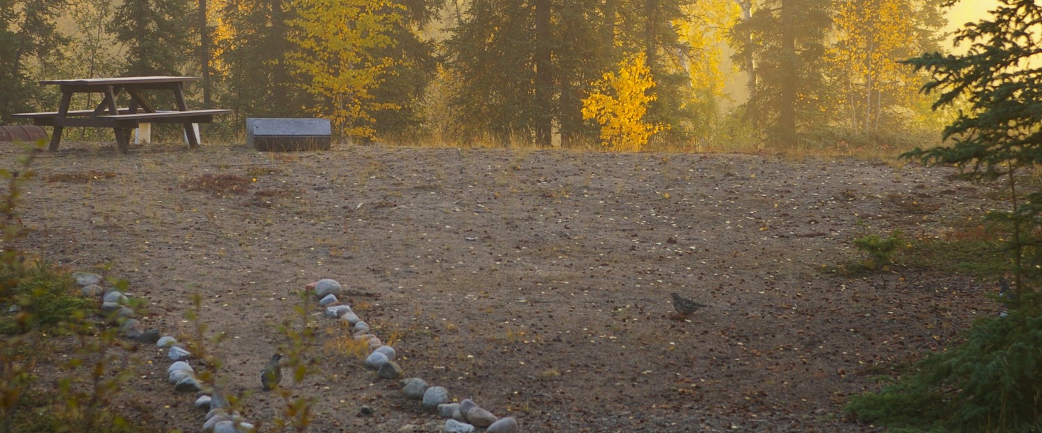 Willow Ridge Retreat